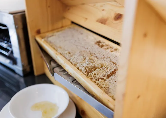 酒店 Mh佛罗伦萨酒店及水疗中心 4*