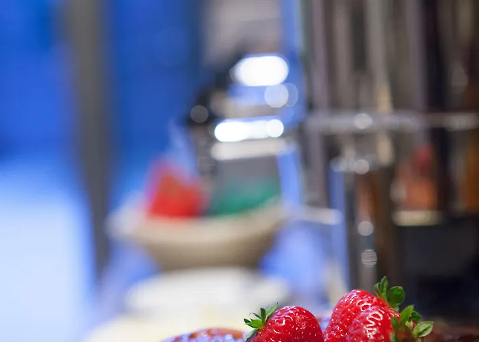 Mh佛罗伦萨酒店及水疗中心